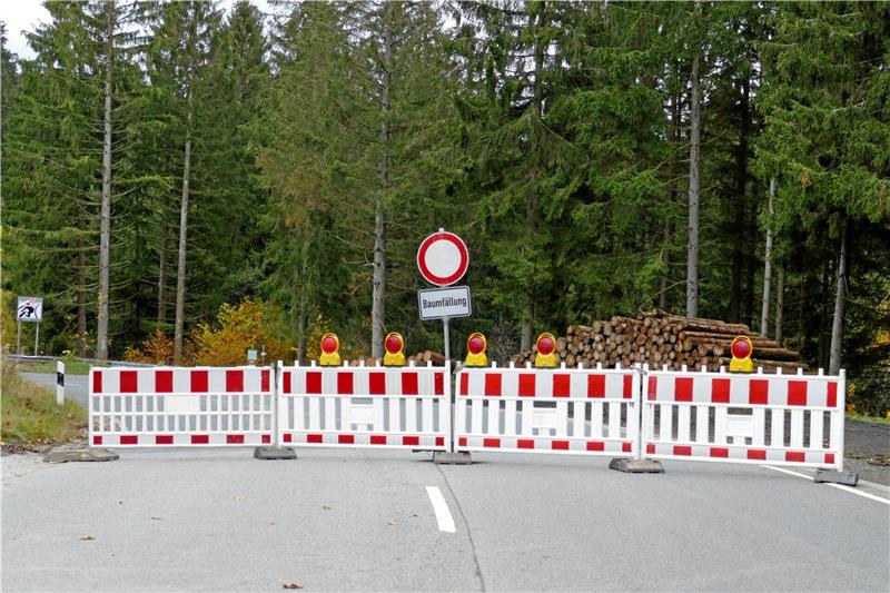 B4 bei Bad Harzburg wird gesperrt Voraussichtlich ab Freitag ist die Bundesstraße 4 zwischen Marienteichbaude und Radau-Wasserfall voll gesperrt. Grund sind Baumfällarbeiten. Archivfoto: Landesforsten