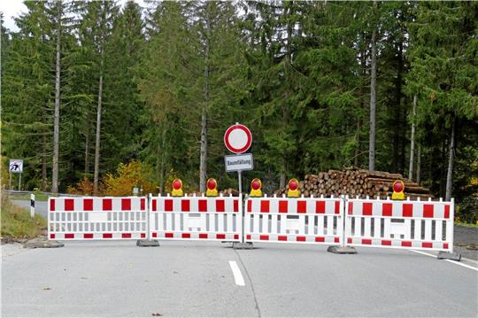 Voraussichtlich ab Freitag ist die Bundesstraße 4 zwischen Marienteichbaude und Radau-Wasserfall voll gesperrt. Grund sind Baumfällarbeiten. Archivfoto: Landesforsten
