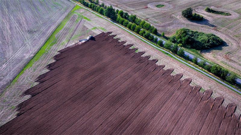 Vorbereitung für die Aussaat: Ein Traktor zieht einen Pflug über ein abgeerntetes Feld.