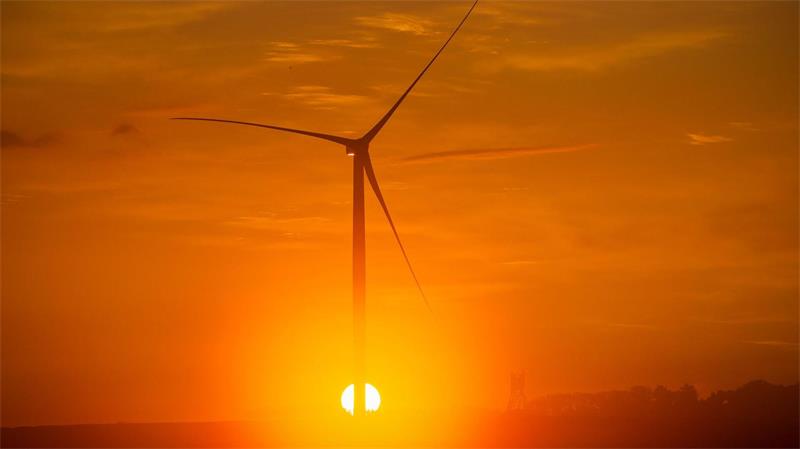 Vorhandene Windkraft war ein Standortfaktor für den Aufbau eines Rechenzentrums in Dummerstorf bei Rostock. (Archivbild)