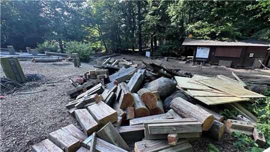 Hölzer liegen auf dem Boden in einem Waldgebiet.