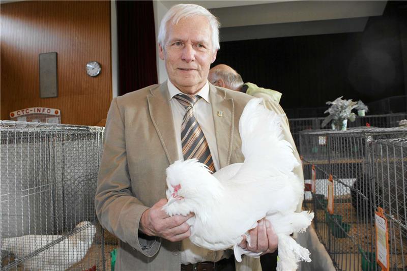 Vorsitzender Ulrich Neumann mit einem Sultanhuhn auf der großen Rassegeflügelschau im Freizeitzentrum.  Archivfoto: Seltmann