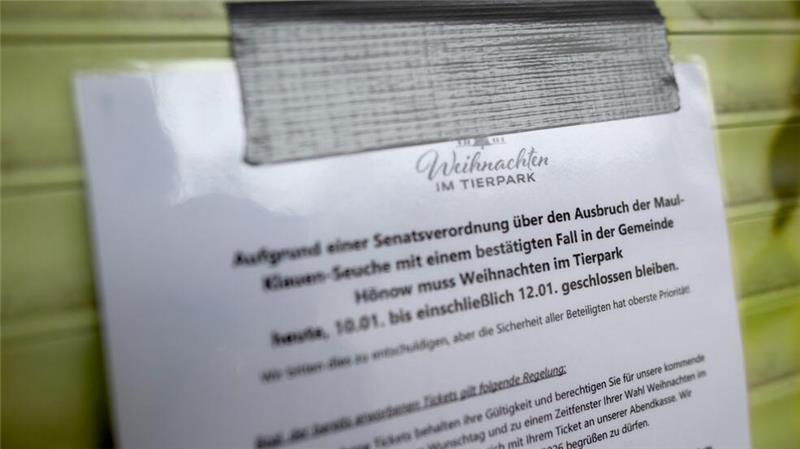 Landwirte in Sorge: Wie groß ist das Ausmaß der Tierseuche? Vorsorglich bleiben der Tierpark und der Zoo in Berlin wegen des Ausbruchs der Maul- und Klauenseuche im benachbarten Brandenburg geschlossen.