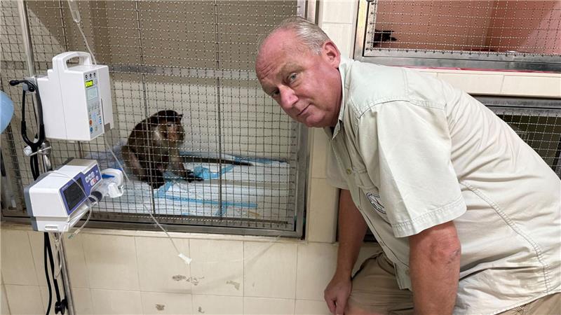 WFFT-Gründer Edwin Wiek besucht einen der Patienten im Wildlife Hospital. Der Affe hatte einen Stromschlag erlitten.