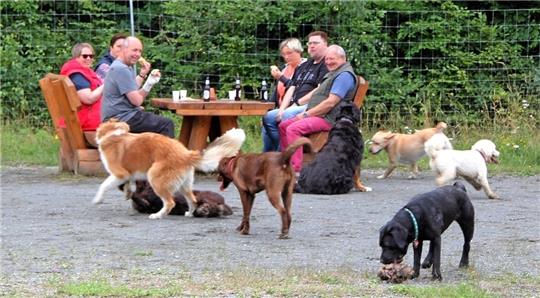 Während Frauchen und Herrchen plaudern, toben ihre Hunde um sie herum. Auf dem Wolfshäger Hundefreilaufplatz müssen sie auch während der Brut- und Setzzeit nicht an die Leine. Foto: Hohaus