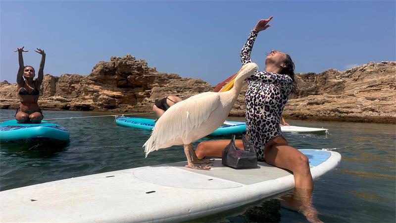 Während der Yoga-Stunde weicht „Pelikanchen“ nicht von der Seite von Lehrerin Alik Ohanian.