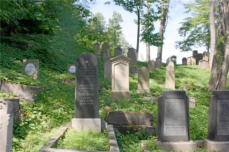 Initiativen gegen Rassismus und für Demokratie Während der internationalen Wochen gegen Rassismus gab es am Mittwoch eine Führung über den jüdischen Friedhof in Seesen. Er wurde wurde 1836 gegründet. Die letzten Grabsteine stammen aus den Jahren 1963/64. Heute sind nach der Sanierung zwischen 2005 und 2008 insgesamt 101 Grabstellen dokumentiert. Archivfoto: Frassl