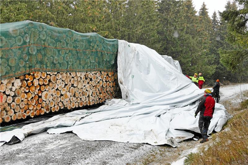Waldarbeiter aus dem Forstamt Clausthal öffnen Folienpolter am Kahlenbergweg in der Nähe vom Auerhahnparkplatz.  Fotos: Rudolph/Landesforsten