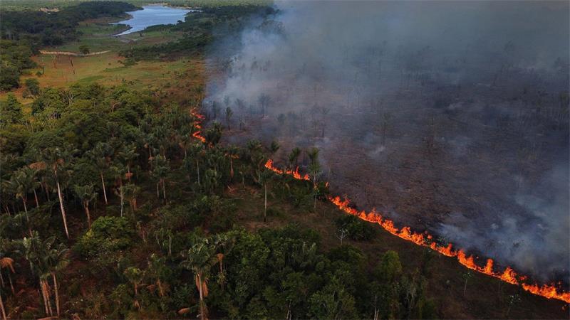 Waldbrände breiteten sich in der Nähe der Gemeinde Iranduba im brasilianischen Bundesstaat Amazonas aus.