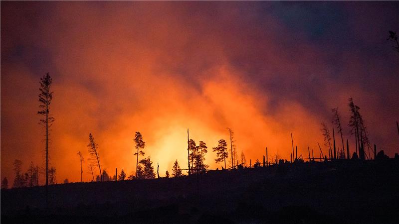 Erde am Limit – Klimakrise kostet Millionen von Leben Waldbrände fachen mit ihren Emissionen die Erderwärmung zusätzlich an. (Illustraiton)