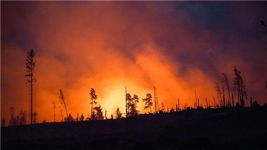 Erde am Limit – Klimakrise kostet Millionen von Leben Waldbrände fachen mit ihren Emissionen die Erderwärmung zusätzlich an. (Illustraiton)