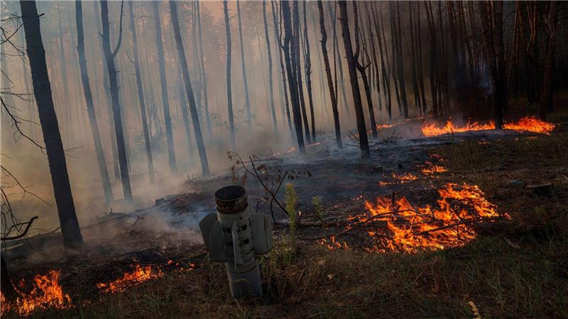 Ukraine-Krieg heizt Klimakrise an – 237 Millionen Tonnen CO2 Waldbrände in der Ukraine, die viel Treibhausgase freisetzen, werden oft durch Gefechte ausgelöst. (Archivbild)