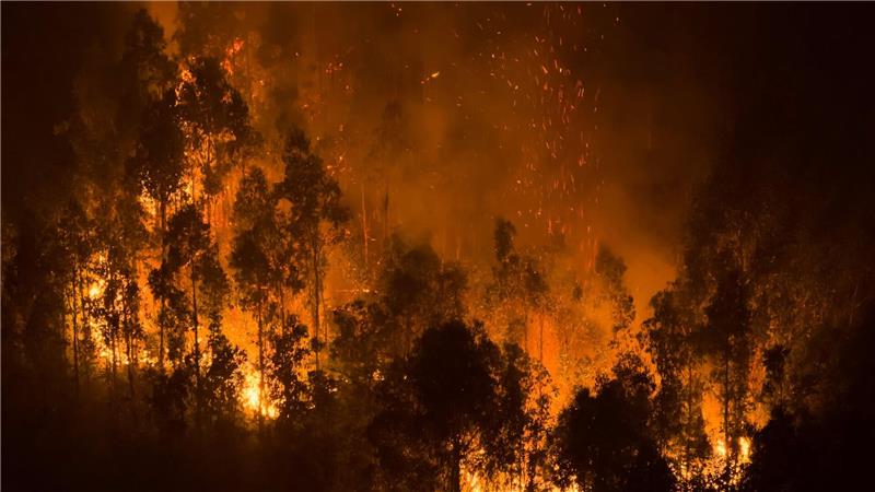 Waldbrände lodern in der Nähe von Concepcion in Chile.
