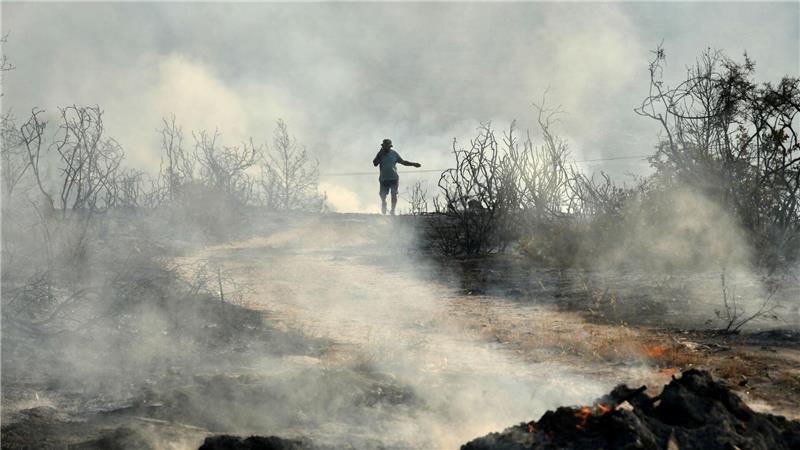 Bilder des Tages Waldbrand auf Zypern: Ein Mann geht durch ein verbranntes Gebiet im Dorf Souni.
