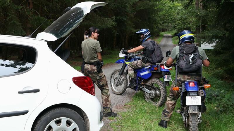 Waldgebiete in den Vogesen wurden aufwendig durchsucht. (Archivbild)