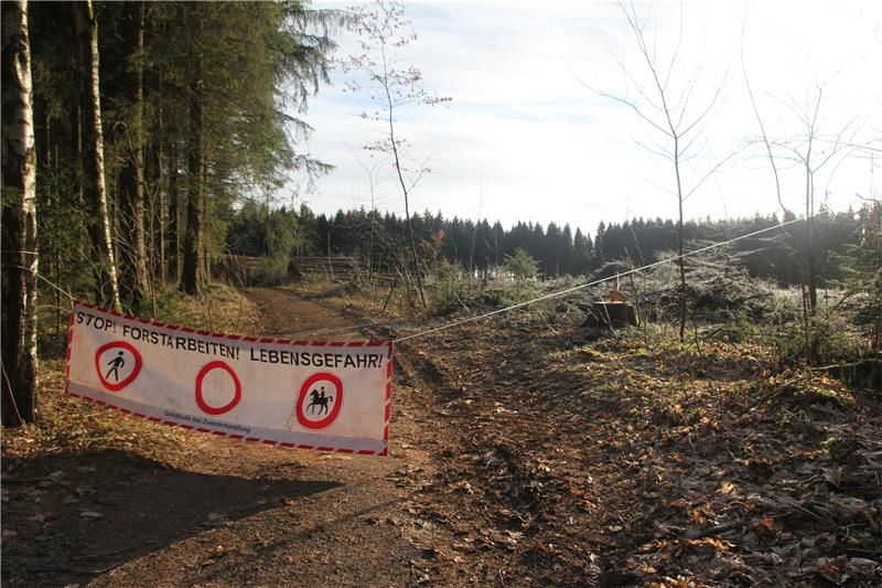 Waldresort, Braunlage, Kollie, BAumfällung, Rodung