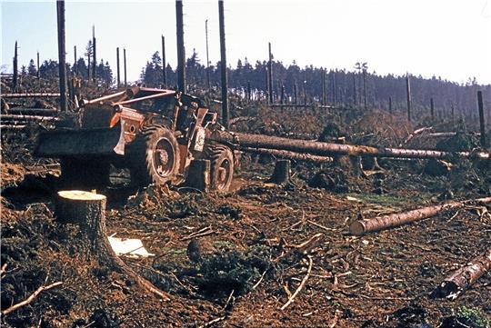 Waldschäden: Mit schwerem Gerät werden die Stämme aus dem verwüsteten Wald geholt, die „Quimburga“ im Oberharz umgeworfen hat.  Fotos: Landesforsten