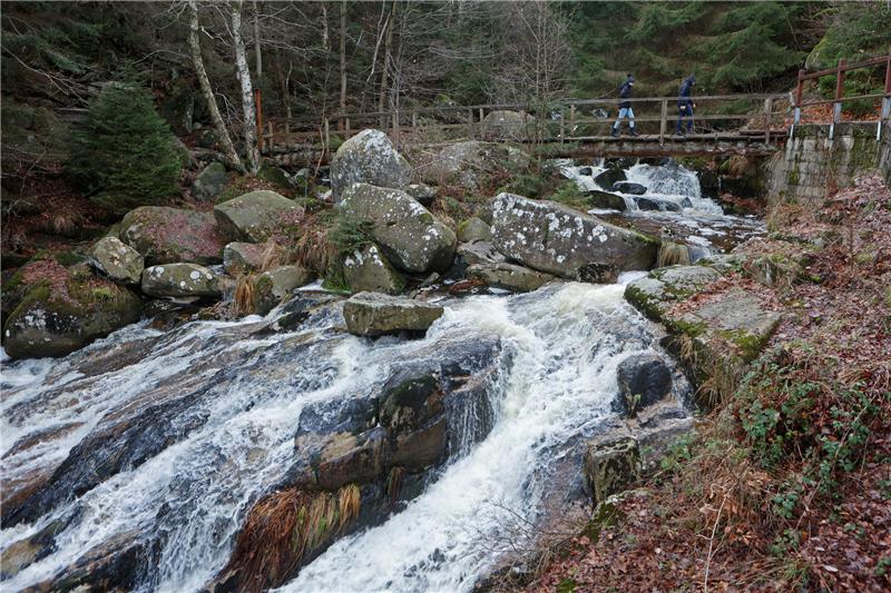 Rekordverdächtig milder Jahreswechsel in Niedersachsen Wanderer gehen über eine Brücke am Ausflugsziel „Steinerne Renne“ bei Wernigerode. Regenwasser lässt die Flüsse wie hier an der „Steinerne Renne“ leicht anschwellen. Der anhaltende Regen der letzten Tage ist jedoch nicht besorgniserregend. Foto: picture alliance/dpa | Matthias Bein