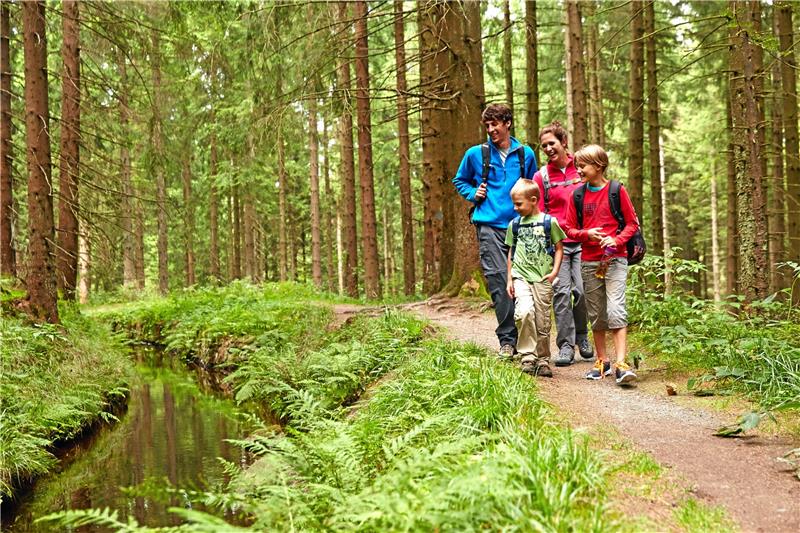 Wanderer im Harz: Ohne den Harzklub gäbe es kein so gutes Wegenetz, diese Leistung möchte der Verein künftig stärker gewürdigt wissen. Foto: Marcus Gloger/HTV