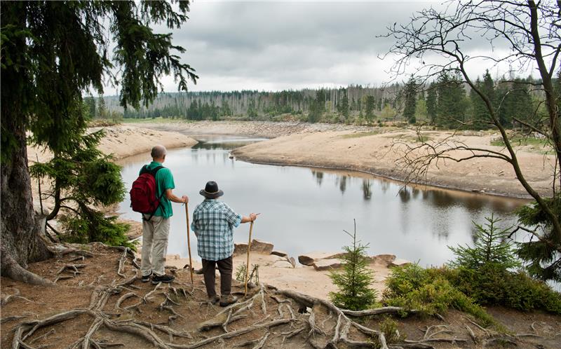 Zu wenig Wasser: Situation der Talsperren im Harz ist angespannt Wanderer stehen an der Talsperre Oderteich im Nationalpark Harz. Die lang anhaltende Trockenheit lässt sich Pegel im Sommer sinken. Foto: Julian Stratenschulte/dpa