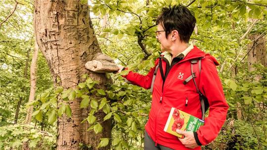 Wanderführerin Ines Hohlbein nimmt Gäste im April dreimal mit zu einer Feierabend-Runde.