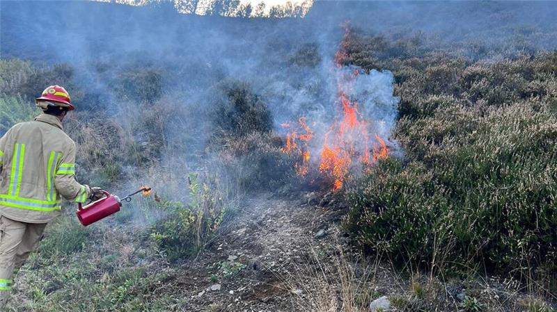 Im Oberharz legen die Brandschützer selbst ein Feuer Was bedrohlich aussieht, dient dem Schutz der Natur.