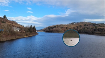 Eine Fotomontage zeigt den Okerstausee und eine Kirchturmspitze, die aus dem Wasser ragt.