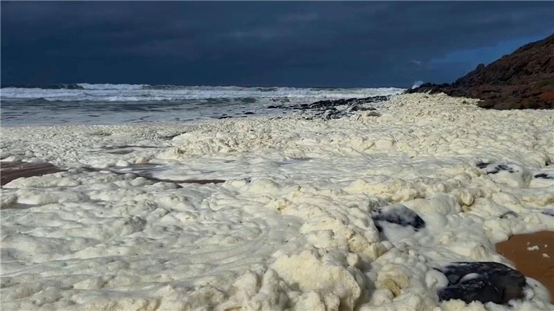 Gelber Schaum und kranke Surfer: Algenblüte in Australien? Was hat es mit dem meterdicken gelben Schaum auf sich? Verschiedene Behörden ermitteln.
