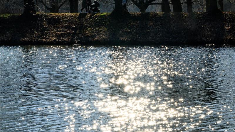 Wasser ist lebenswichtig für Menschen, Tiere und Kleinstorganismen. (Archivbild)