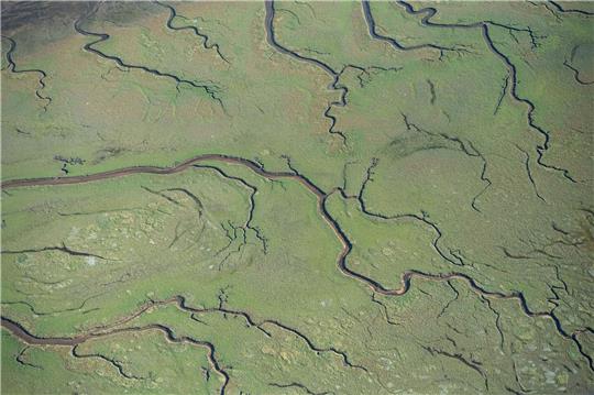 Wasserläufe ziehen sich durch die Salzwiesen von Spiekeroog.