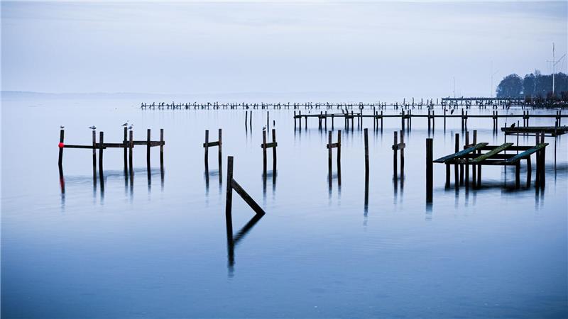 Wasserlandschaft: Pfähle einer abgebauten Steganlage ragen aus dem Steinhuder Meer.