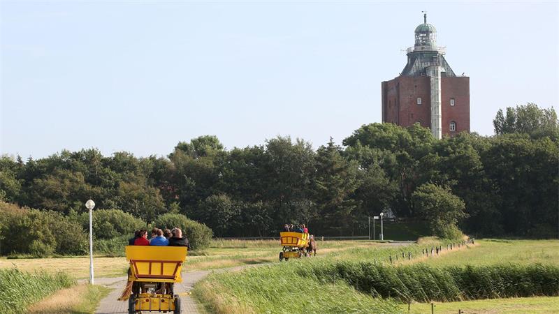 Verborgene Welten – Unbekannte Inseln in Norddeutschland Wattwagen fahren auf der Insel Neuwerk. Der Wehrturm aus dem 14. Jahrhundert im Hintergrund ist eines der ältesten erhaltenen Bauwerke Hamburgs. (Archivbild)