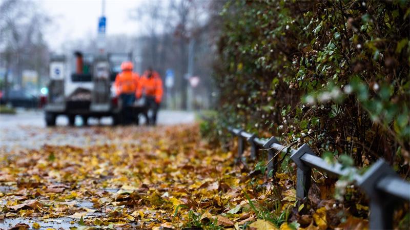Wechselhaftes Wetter und fallende Temperaturen: Der Herbst hält Einzug in Niedersachsen und Bremen. (Archivbild)