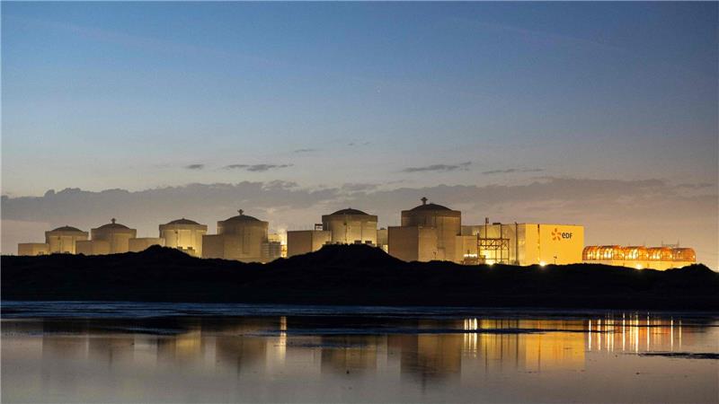 Quallen legen größtes französisches Atomkraftwerk lahm Wegen Quallen steht der Betrieb eines französischen AKW vorerst still. (Archivbild)