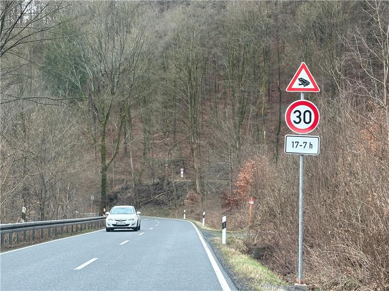 Wegen der Krötenwanderung ist auf der B 27 zwischen Braunlage und Bad Lauterberg die Höchstgeschwindigkeit reduziert worden.  Foto: Eggers
