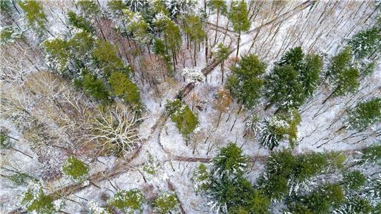 Wegen der Unwetterwarnungen kommt es zu Einschränkungen und Schließungen in Niedersachsen, wie etwa beim Wildpark Schwarze Berge im Landkreis Harburg. (Symbolfoto)