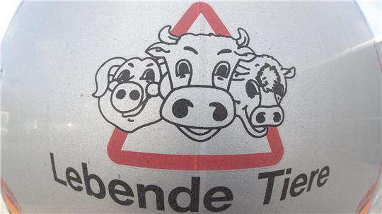 Wegen des Kriegsgeschehens im Nahen Osten sind Tiertransporte in diese Region untersagt. (Symbolbild)