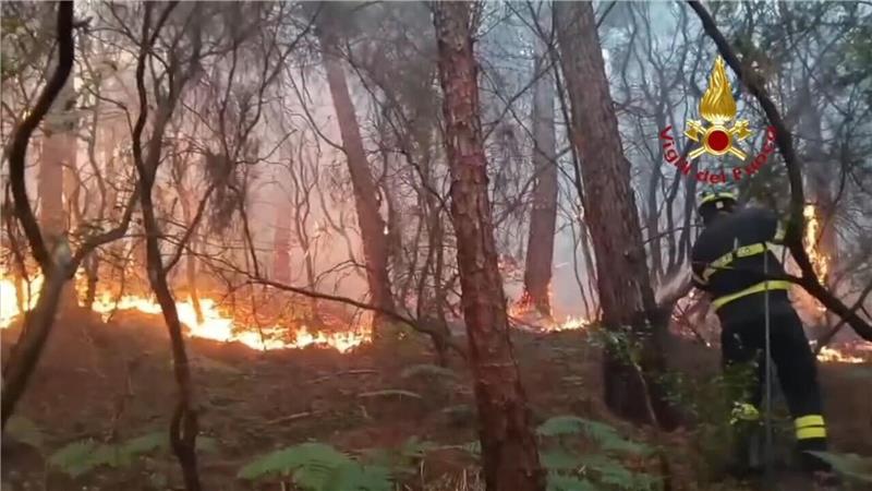 Wegen des Waldbrands haben mehr als 3.500 Menschen ihre Häuser verlassen müssen.