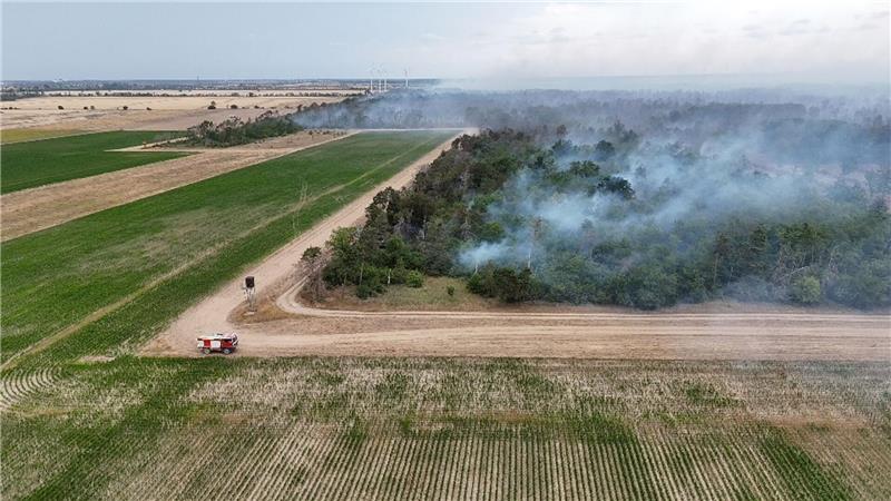 Mehrere Wälder im Osten Deutschlands brennen Wegen des Waldbrands in der Gohrischheide wurde Katastrophenalarm ausgelöst.