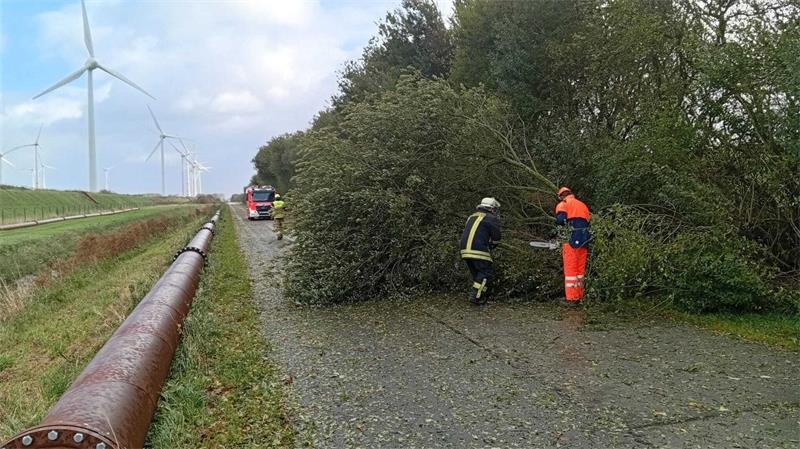 Wegen eines Sturmtiefs sind in Niedersachsen und Bremen auch Äste abgeknickt.