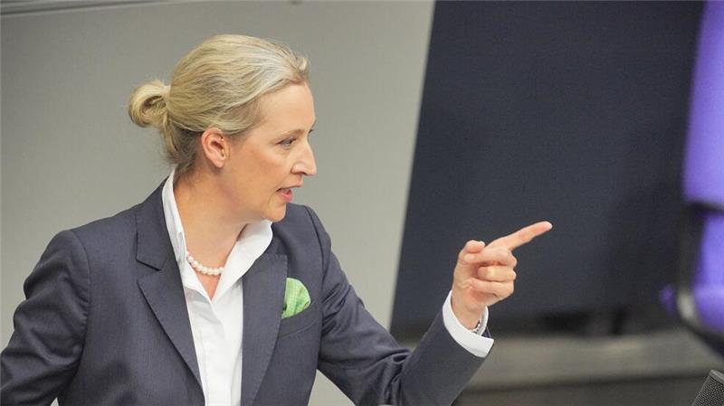 „Großes Vorbild“ Ungarn: Weidel und Orban demonstrieren Nähe Weidel sieht in Ungarn ein „Bollwerk gegen illegale Migration“ (Archivbild).