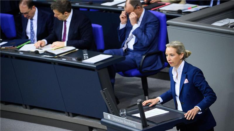 Weidel will Außenpolitik an nationalen Interessen ausrichten.