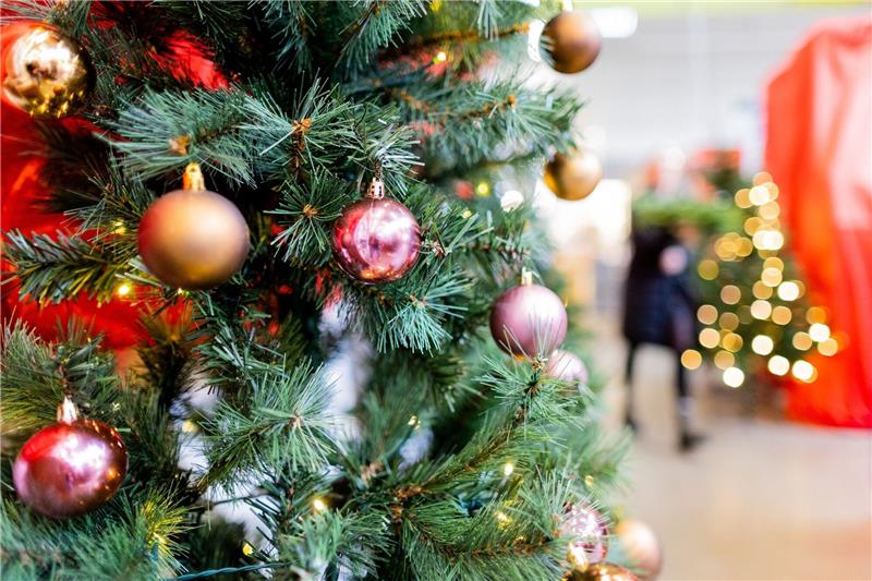 Klima: Welcher Weihnachtsbaum ist der umweltfreundlichste? Weihnachten ohne Weihnachtsbaum ist für viele undenkbar. Doch der ökologische Fußabdruck einiger Arten ist ziemlich groß.