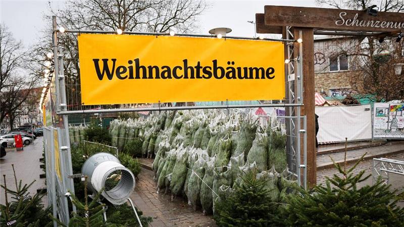 Warum behält der Tannenbaum seine Nadeln? Weihnachtsbäume haben in Deutschland eigentlich immer Nadeln. (Archivbild)
