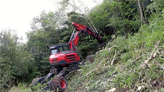 Weil der Schreitbagger in der Lage ist, sich am Hang emporzuarbeiten, kommt er an zu fällende Bäume, die mit normalem Bagger unerreichbar sind.