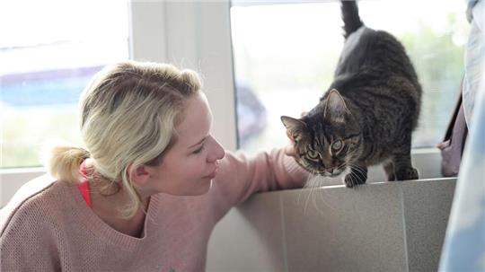 Weil die Festangestellten in Tierheimen voll ausgelastet sind, übernehmen ehrenamtliche Katzenstreichlerinnen wie Christina Haas das Kraulen und Spielen.