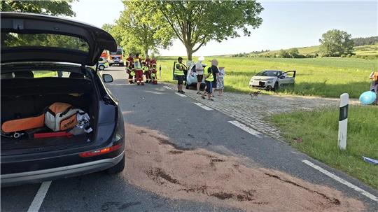 Weil ein Hund unvermittelt über die Straße lief, kam es auf der B6 zu einem Unfall mit drei beteiligten Fahrzeugen.