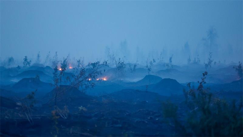 Brand im Hohen Venn: Evakuierung bei Monschau angeordnet Weite Teile des Hohen Venn an der Grenze zu Deutschland sind von den Flammen betroffen.