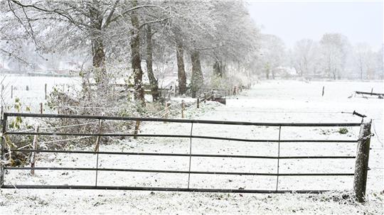 Weiteren Schnee sagt der Deutsche Wetterdienst frühestens am Sonntag vorher.