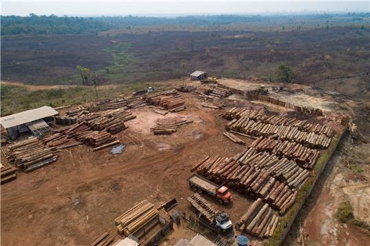 Weltweit sind im vergangenen Jahr einem Bericht zufolge rund 3,7 Millionen Hektar tropischer Urwald zerstört worden (Archivbild).